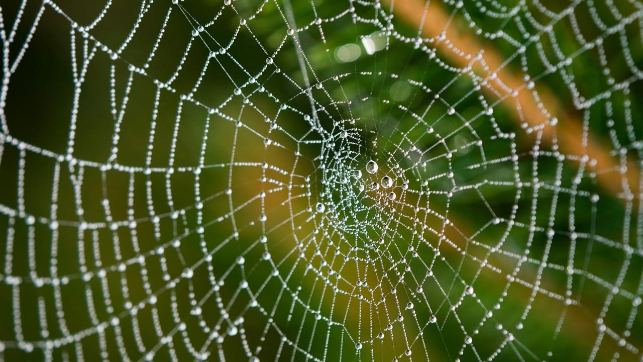 Hogyan nevelj nagyszerű ügyfeleket