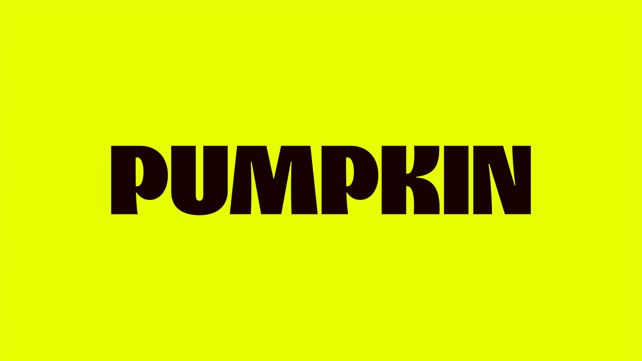 Pumpkin by Kuba & Friends - kutyás brand design