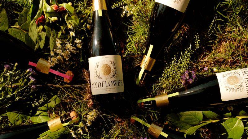 Ez a népi ihletésű borcsalád megmutatja, miért ér aranyat a kézzel rajzolt illusztráció