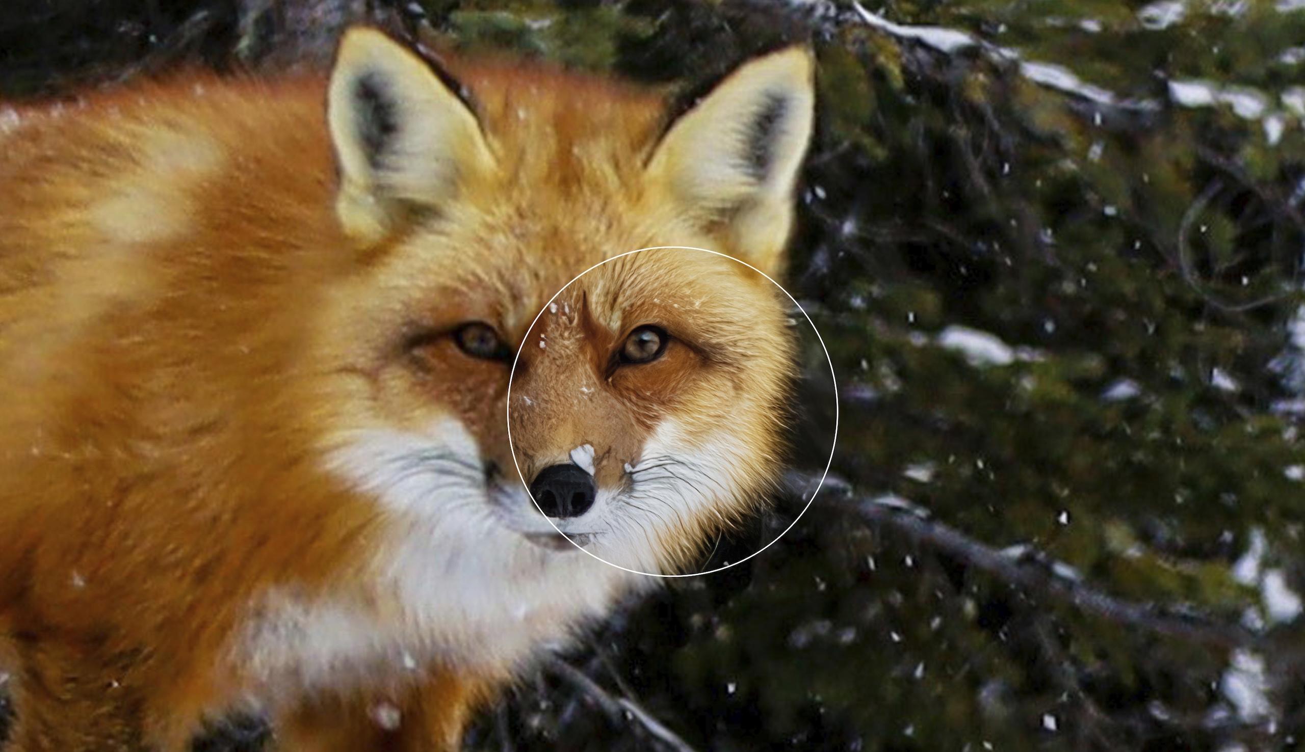 Hogyan alakítja át az AI a kreatívok munkáját a képekkel