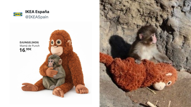 Hogyan lett az IKEA plüss orangutánjából brand hős