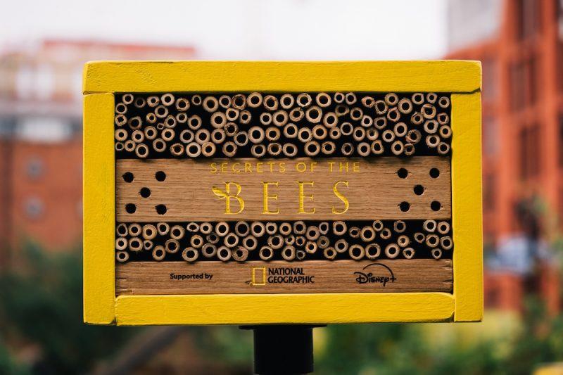A National Geographic élő méhhoteleket épít a hirdetőtáblákból