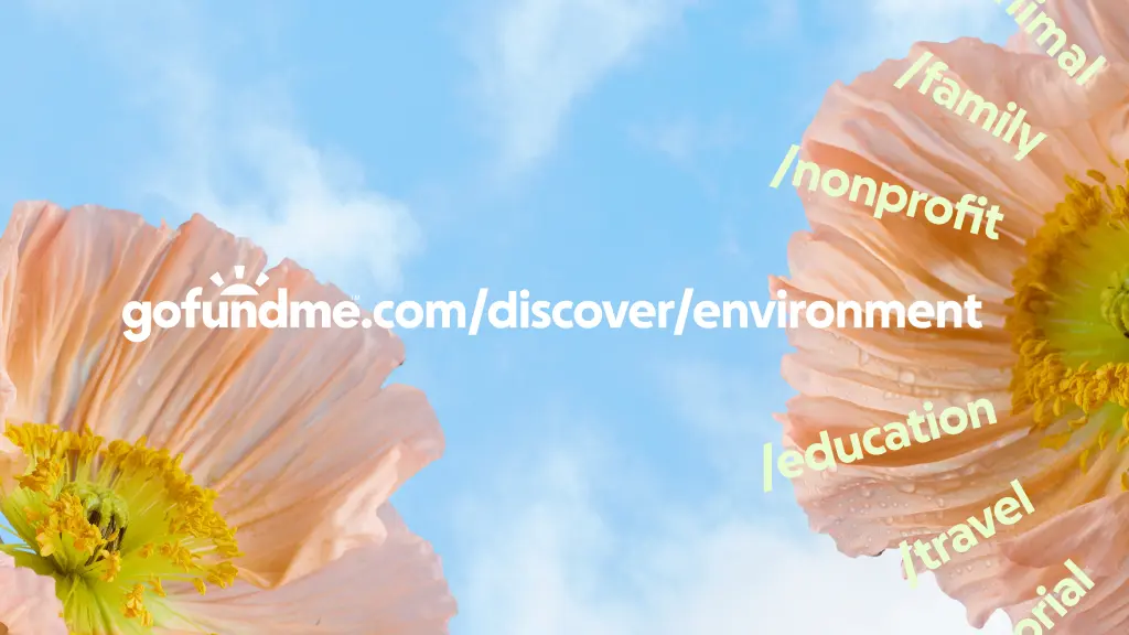 Koto újragondolta a GoFundMe-t egy egyszerű igazság köré: a segítség összeadódik