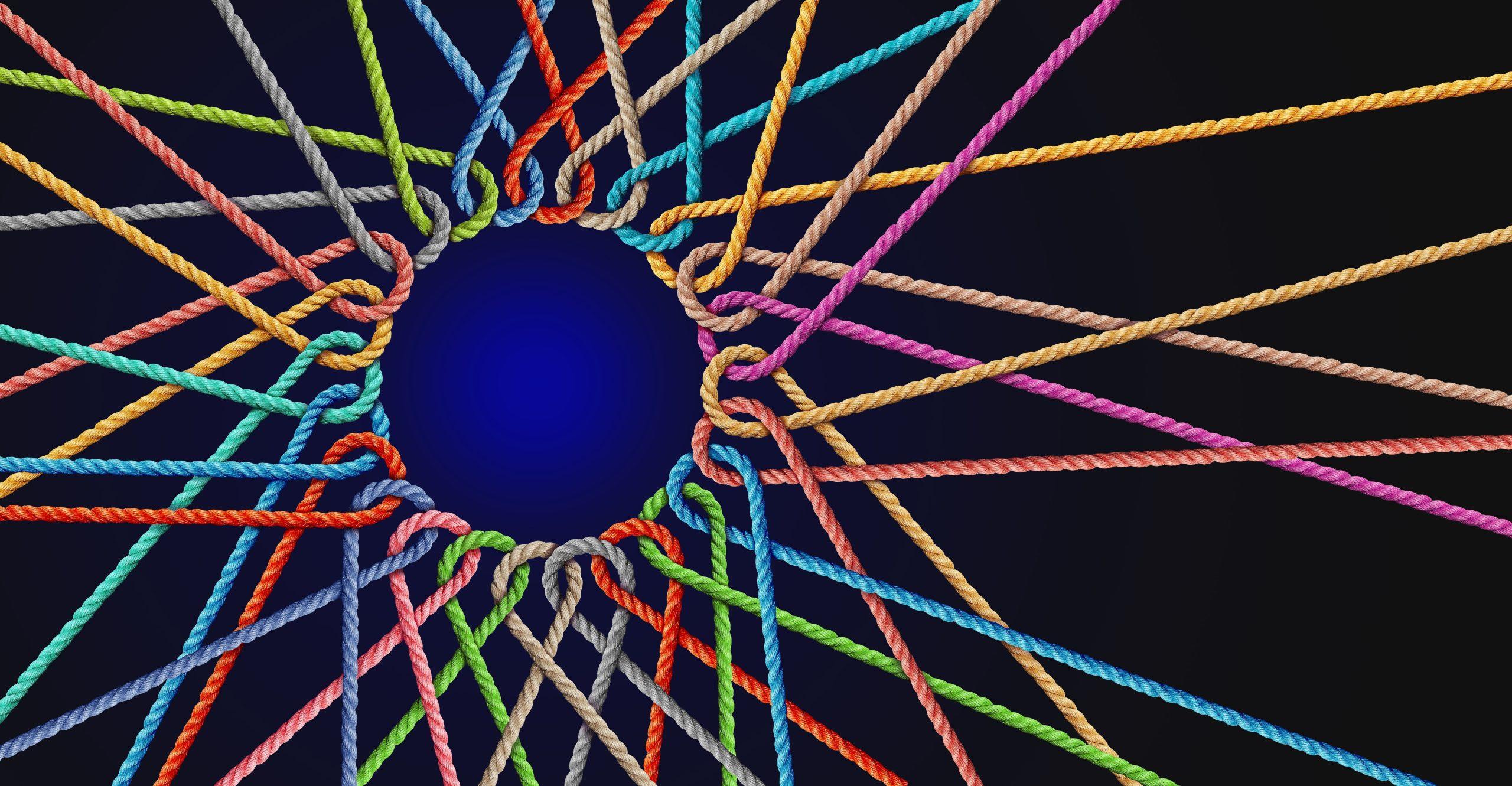 Együttműködés, kíváncsiság, közösség: az Adobe új kreatív kollektívája